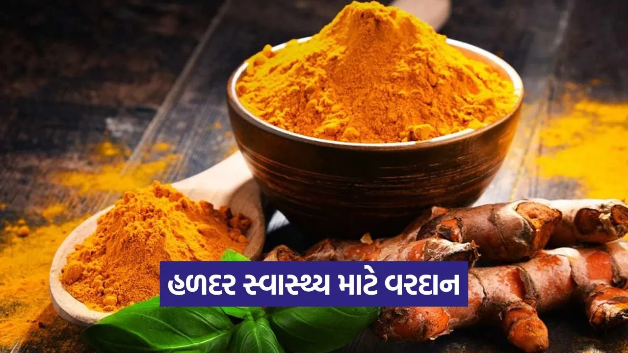 હળદર ગરમ છે કે ઠંડી? જાણો તેના સ્વાસ્થ્ય લાભો અને સેવનની સાચી રીત