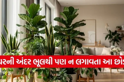 1777707535 Copy of Satya web temp 16.jpg.webp