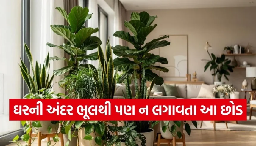 સાવધાન! તમારા ઘરના આ સુંદર છોડ હોઈ શકે છે જીવલેણ, આજે જ જાણી લો તેની પાછળનું સત્ય 1 1777707535 Copy of Satya web temp 16.jpg.webp
