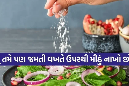 1777909822 Copy of Satya web temp 24.jpg.webp