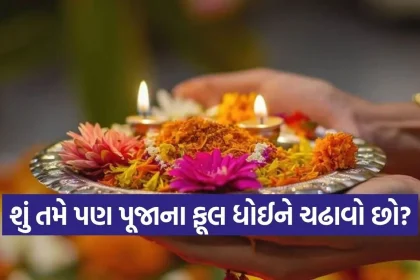 1778054141 Copy of Satya web temp 13.jpg.webp
