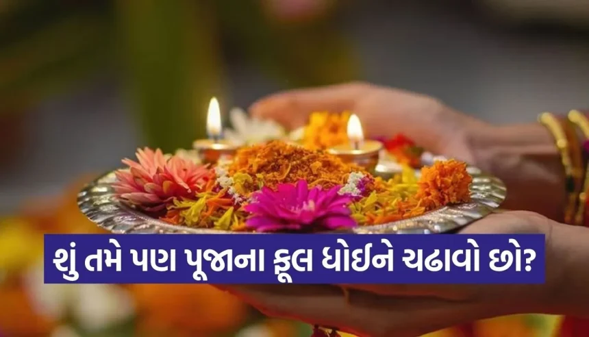 પૂજામાં ફૂલ ચઢાવતા પહેલા આ જરૂર વાંચજો! તમારી એક નાની ભૂલથી પૂજા રહી શકે છે અધૂરી 1 1778054141 Copy of Satya web temp 13.jpg.webp