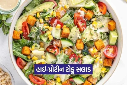 1778169945 Dharmishtha 14.jpg.webp