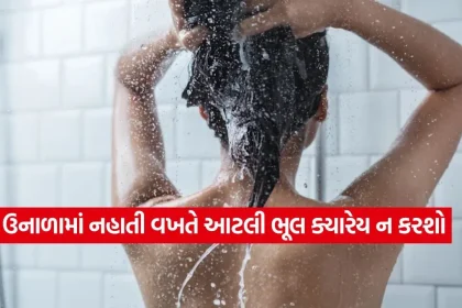 1778198875 dharmishtha 1 32.jpg.webp