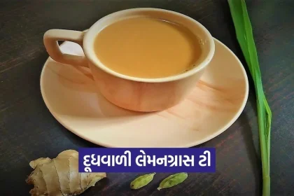 1778285834 Dharmishtha 13.jpg.webp