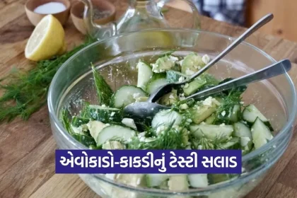 1778314846 Dharmishtha 11.jpg.webp
