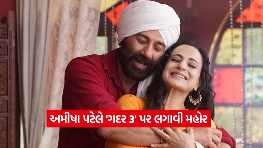 તારા સિંહ અને સકીના ફરી મચાવશે ધૂમ: ‘ગદર 3’ ને લઈને અમીષા પટેલની મોટી જાહેરાત, જાણો ક્યારે થશે રિલીઝ 1 1778343022 dharmishtha 1 18.jpg.webp