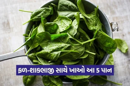 1778343640 Dharmishtha 12.jpg.webp