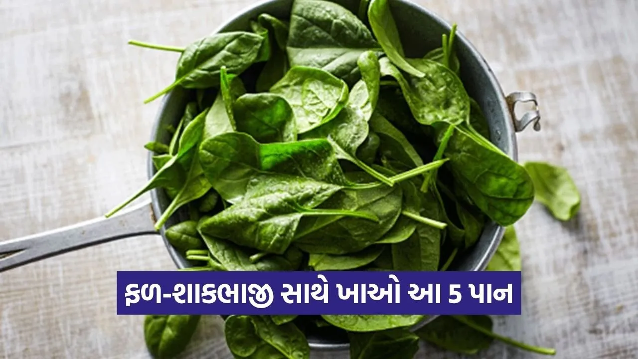ફળ-શાકભાજી જ નહીં, રોજ ખાઓ આ 5 પાન: અનેક રોગો થશે ગાયબ