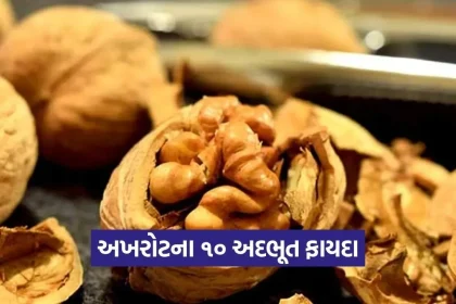 1778343701 Dharmishtha 11.jpg.webp