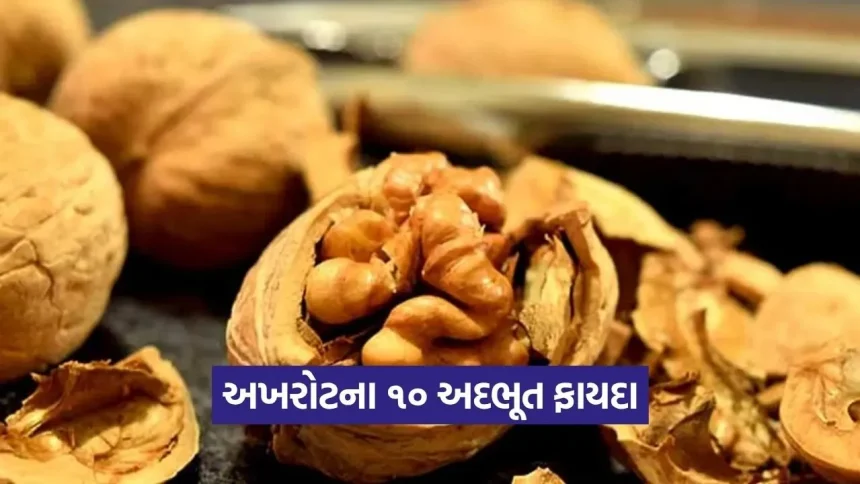 અખરોટ: રોજ ખાવાથી આ 10 ગંભીર બીમારીઓ રહેશે દૂર 1 1778343701 Dharmishtha 11.jpg.webp