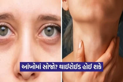 1778372500 Dharmishtha 10.jpg.webp