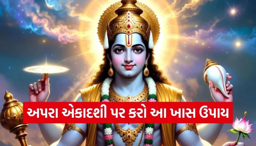 શું તમે જાણો છો અપરા એકાદશીનું મહત્વ? સહસ્ત્ર ગોદાન સમાન ફળ મેળવવા આજે જ કરો આ કામ 1 1778660507 Copy of Satya web temp 18.jpg.webp