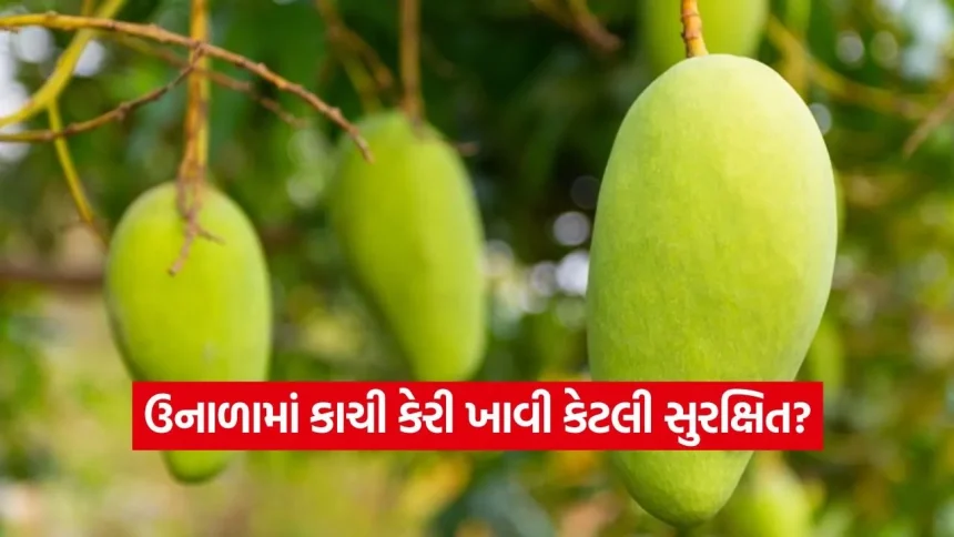 1778690080 dharmishtha 1 26.jpg.webp