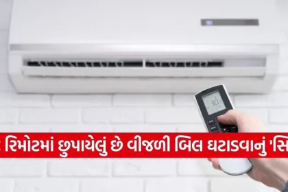 1778892460 Copy of Satya web temp 6.jpg.webp