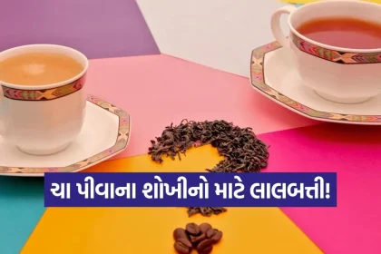 1778920958 India 39.jpg.webp