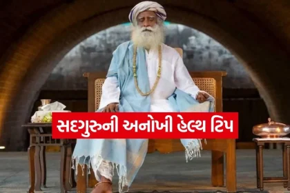1778949774 dharmishtha 1 27.jpg.webp