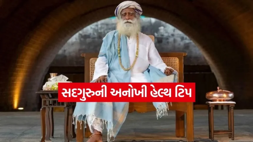 1778949774 dharmishtha 1 27.jpg.webp