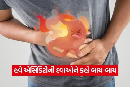 1779094033 dharmishtha 1 1.jpg.webp