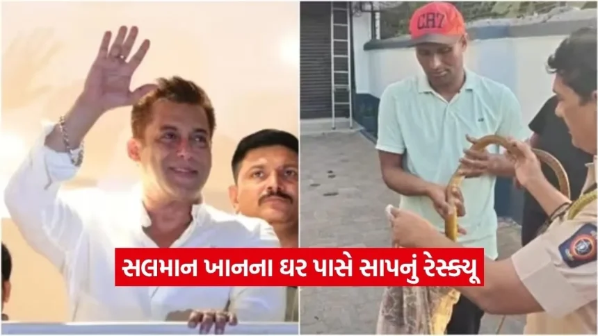 સલમાન ખાનના ગેલેક્સી એપાર્ટમેન્ટમાં નીકળ્યો સાપ: મુંબઈમાં ભારે દોડધામ બાદ સુરક્ષિત રેસ્ક્યૂ 1 1779151434 Dharmishtha 1.jpg.webp
