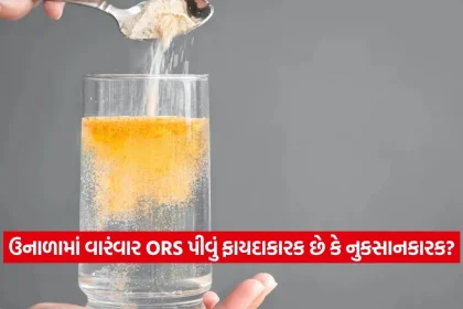 1779209555 dharmishtha 1 29.jpg.webp