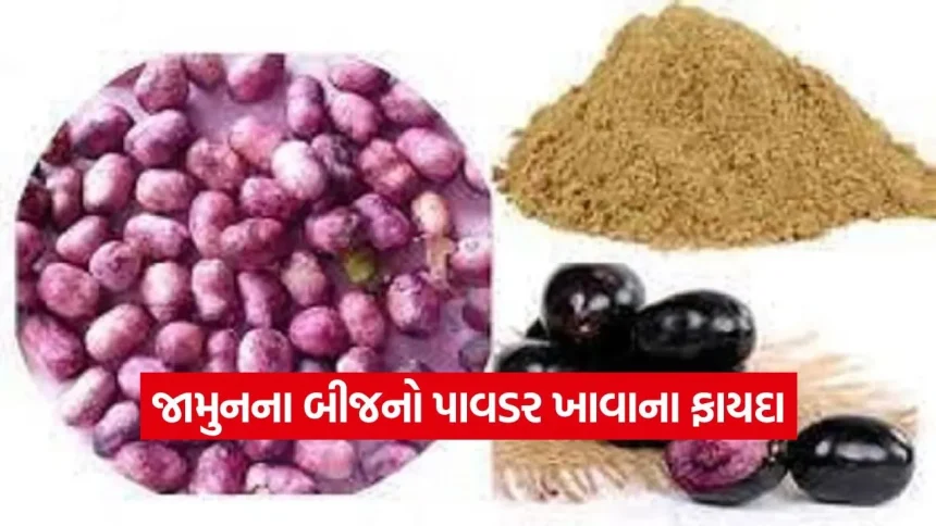 અમૃત સમાન છે જામુનના બીજનો પાવડર: ખાલી પેટે ગરમ પાણી સાથે લેવાના અદભુત ફાયદા 1 1779296240 dharmishtha 1 17.jpg.webp
