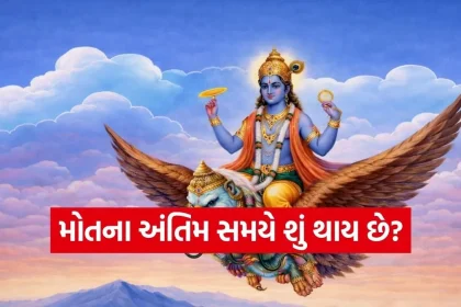 1779324499 Copy of Satya web temp 27.jpg.webp