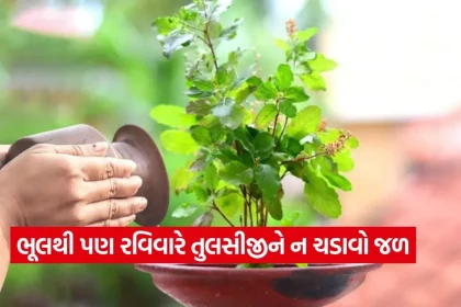 1779468826 dharmishtha 1 23.jpg.webp