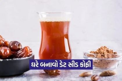 1779498290 Dharmishtha 17.jpg.webp