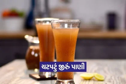 1779555606 Dharmishtha 10.jpg.webp
