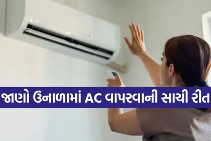 1779556295 Copy of Satya web temp 5.jpg.webp