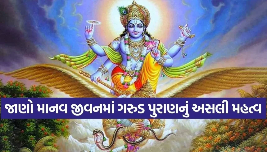 ગરુડ પુરાણ માત્ર મૃત્યુ પછી જ નહીં, જીવતેજીવ પણ કેમ સાંભળવું જોઈએ? જાણી લો આ અદ્ભુત રહસ્ય 1 1779786291 Copy of Satya web temp 14.jpg.webp