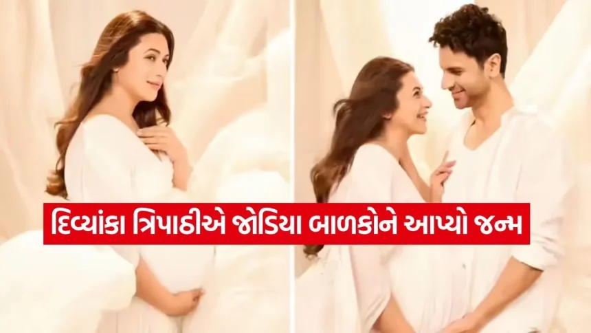 લગ્નના 10 વર્ષ પછી દિવ્યાંકા ત્રિપાઠીના ઘરે જોડિયા દીકરાઓનો જન્મ, એક્ટ્રેસે શેર કરી મોટી ખુશખબરી 1 1779786354 dharmishtha 1 11.jpg.webp