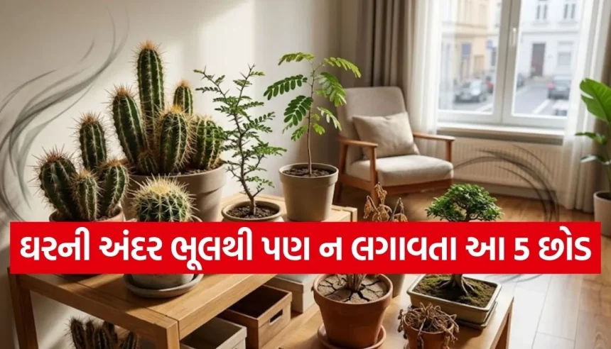 સાવધાન! ઘરની સુંદરતા વધારતા આ 5 છોડ હોઈ શકે છે અશુભ, જાણી લો વાસ્તુના નિયમો 1 1779844025 Copy of Satya web temp 27.jpg.webp