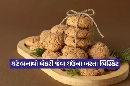 1779844717 Dharmishtha 17.jpg.webp