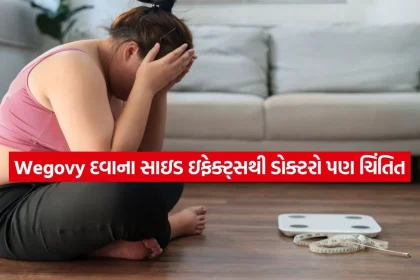 1779960098 dharmishtha 1 16.jpg.webp