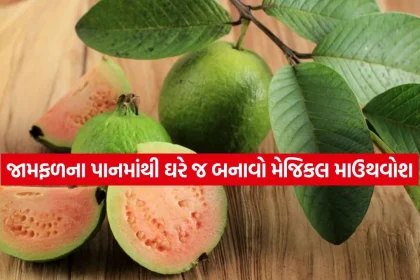 1780017883 dharmishtha 1 26.jpg.webp