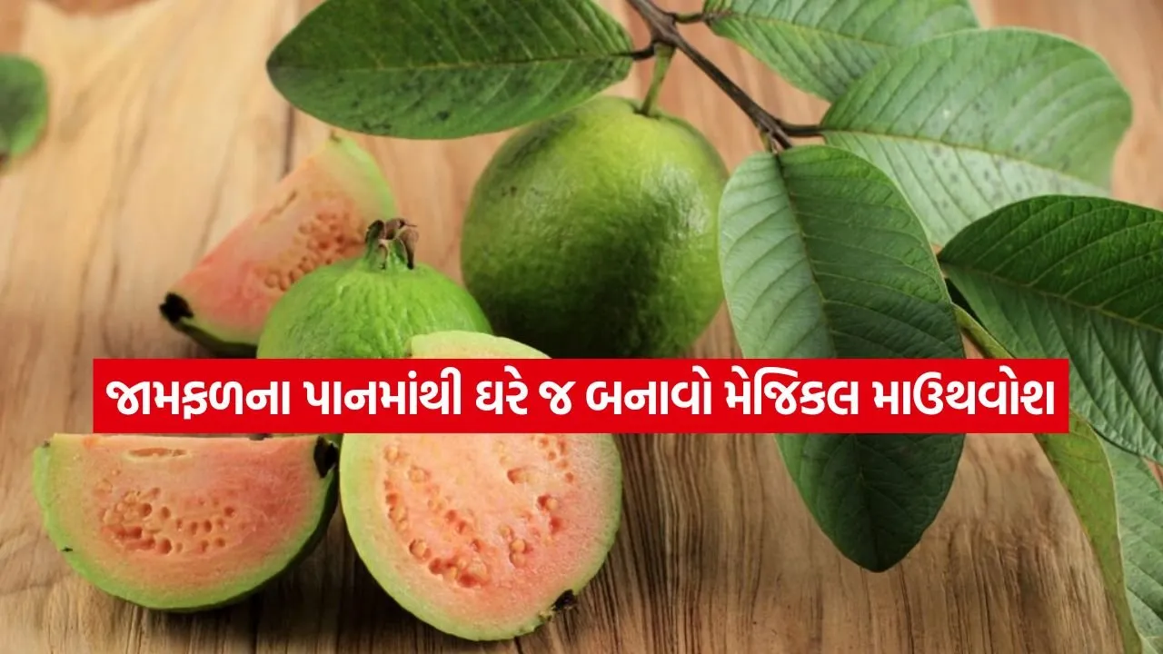 1780017883 dharmishtha 1 26.jpg.webp