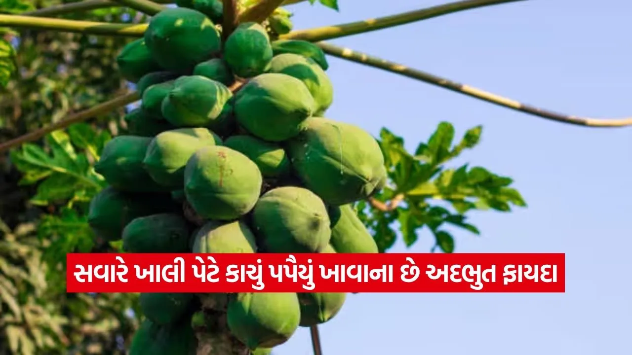 1780133478 dharmishtha 1 20.jpg.webp