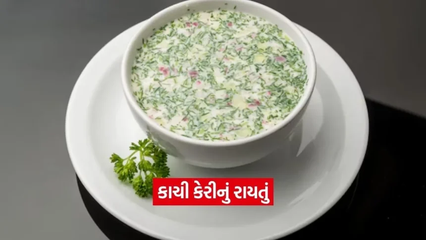 ઉનાળાની ગરમીમાં અમૃત સમાન: ટેસ્ટી અને ઠંડુ કાચી કેરીનું રાયતું 1 1780162362 Dharmishtha 8.jpg.webp