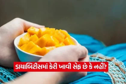 1780191171 dharmishtha 1 12.jpg.webp