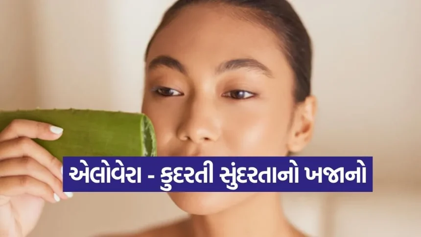 એલોવેરા જેલ વાપરવાની સાચી પદ્ધતિ જે કદાચ તમે નહીં જાણતા હોવ. 1 Aloe vera 0105.jpg.webp