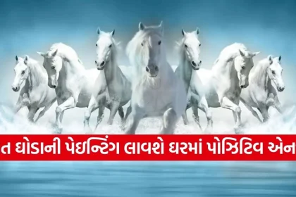 Copy of Satya web temp 11.jpg.webp