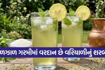 Copy of Satya web temp 15.jpg.webp