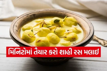 Copy of Satya web temp 27.jpg.webp