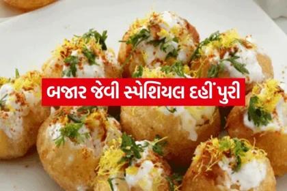 Dahi Puri 2005.jpg.webp