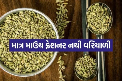 Fennel seeds 2305.jpg.webp