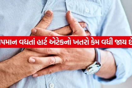 Heart Attack 2005.jpg.webp