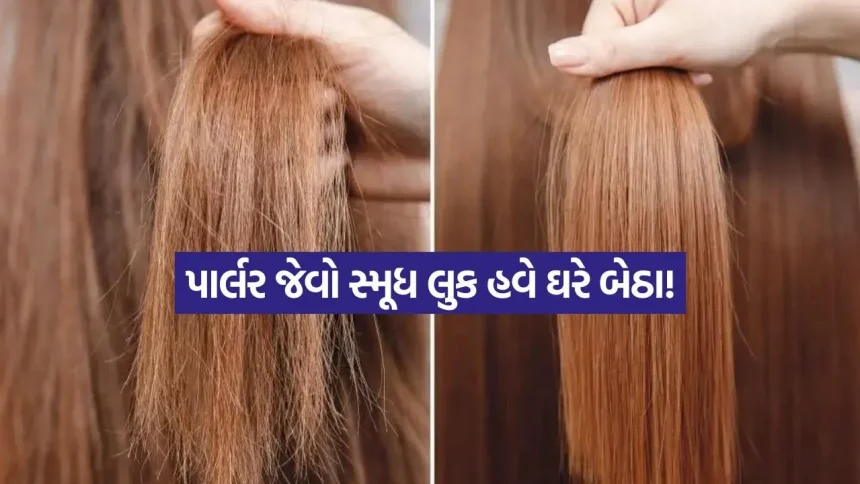 ઉનાળામાં ફ્રીઝી વાળથી છો પરેશાન? અપનાવો આ 5 મિનિટનું સિક્રેટ રૂટિન! 1 INDIA 1 2026 05 02T114400.063.jpg.webp