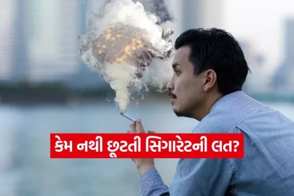 India 78.jpg.webp